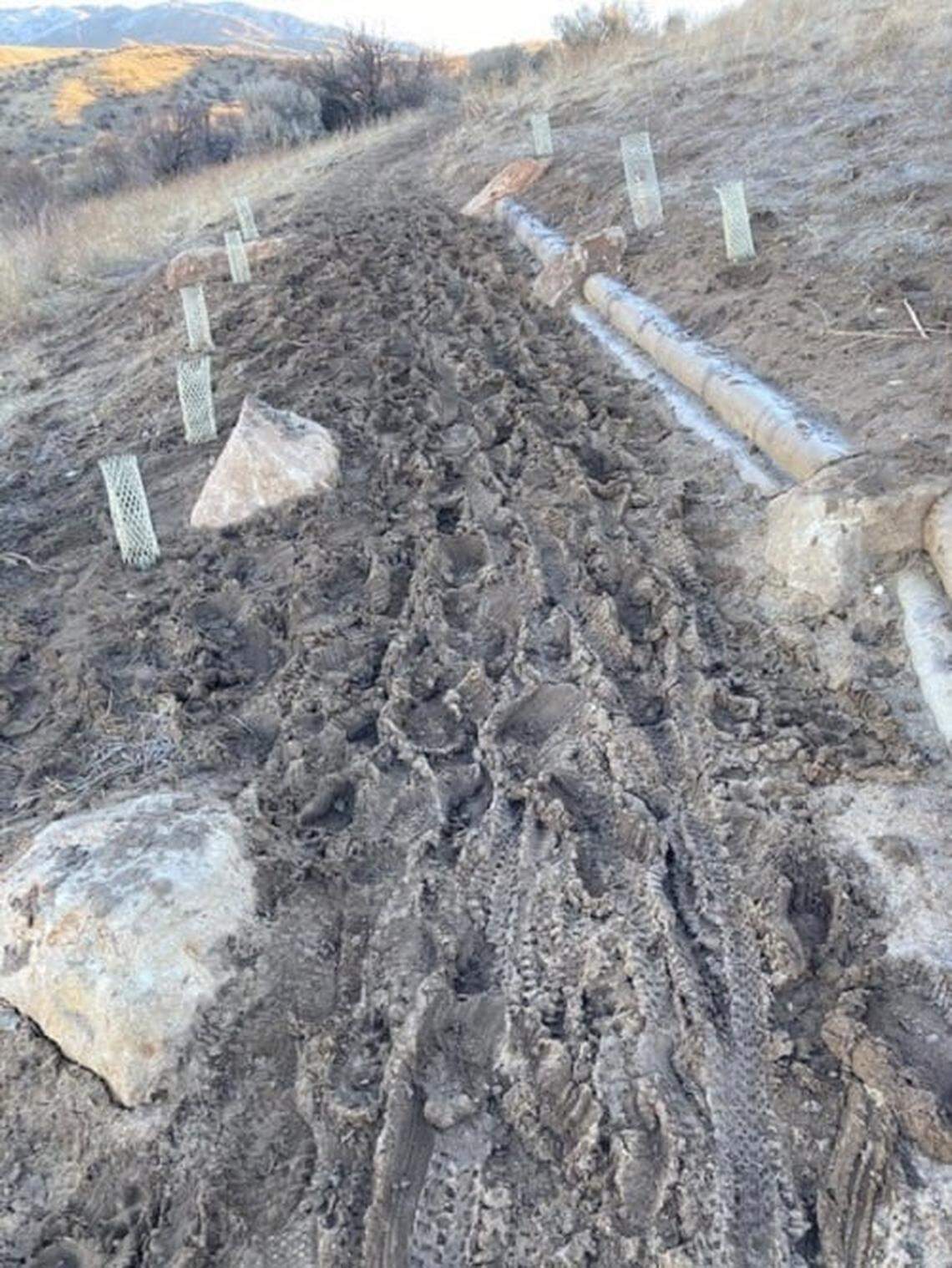 Ridge to Rivers shared this photo of Kestrel Trail on its Facebook page on Wednesday, Jan. 20, saying the trail was “almost unusable for people trying to do the right thing and use it when its frozen, due to all of the previous day’s trail damage.”