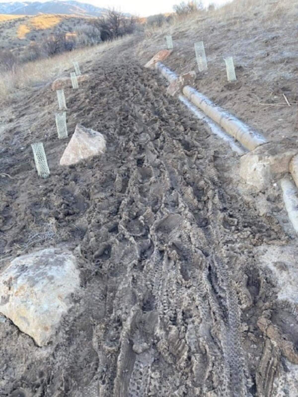 Ridge to Rivers shared this photo of Kestrel Trail on its Facebook page on Wednesday, Jan. 20, saying the trail was “almost unusable for people trying to do the right thing and use it when its frozen, due to all of the previous day’s trail damage.”