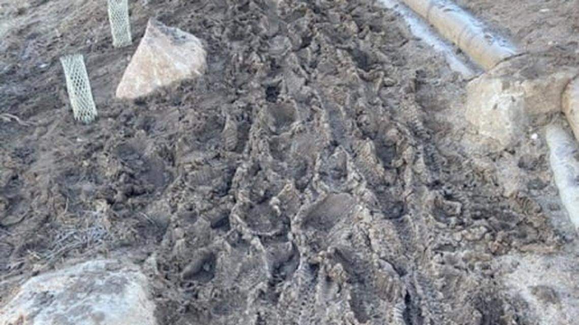 Headed to hike in the Boise Foothills? New map lets you check trail conditions first