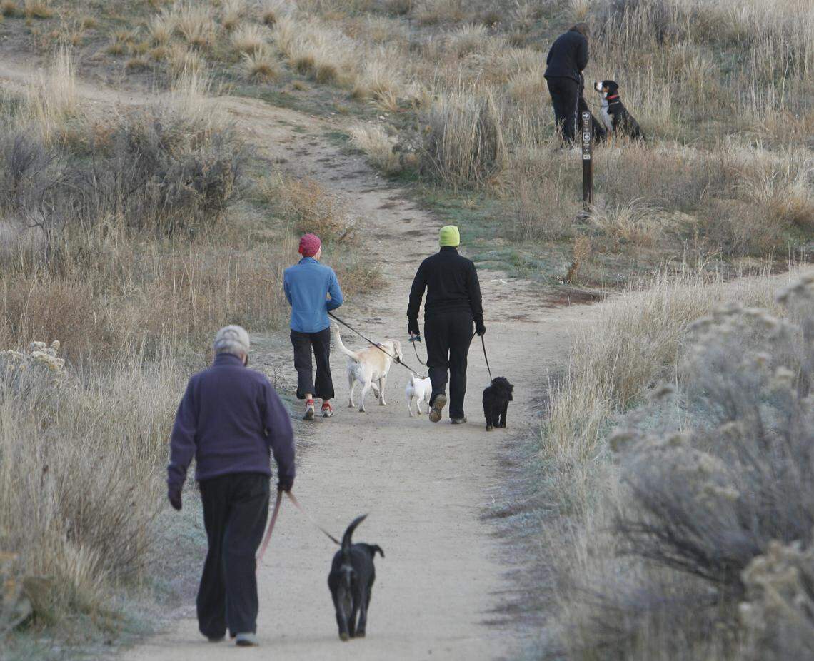 Hulls Gulch in the Boise Foothills.
