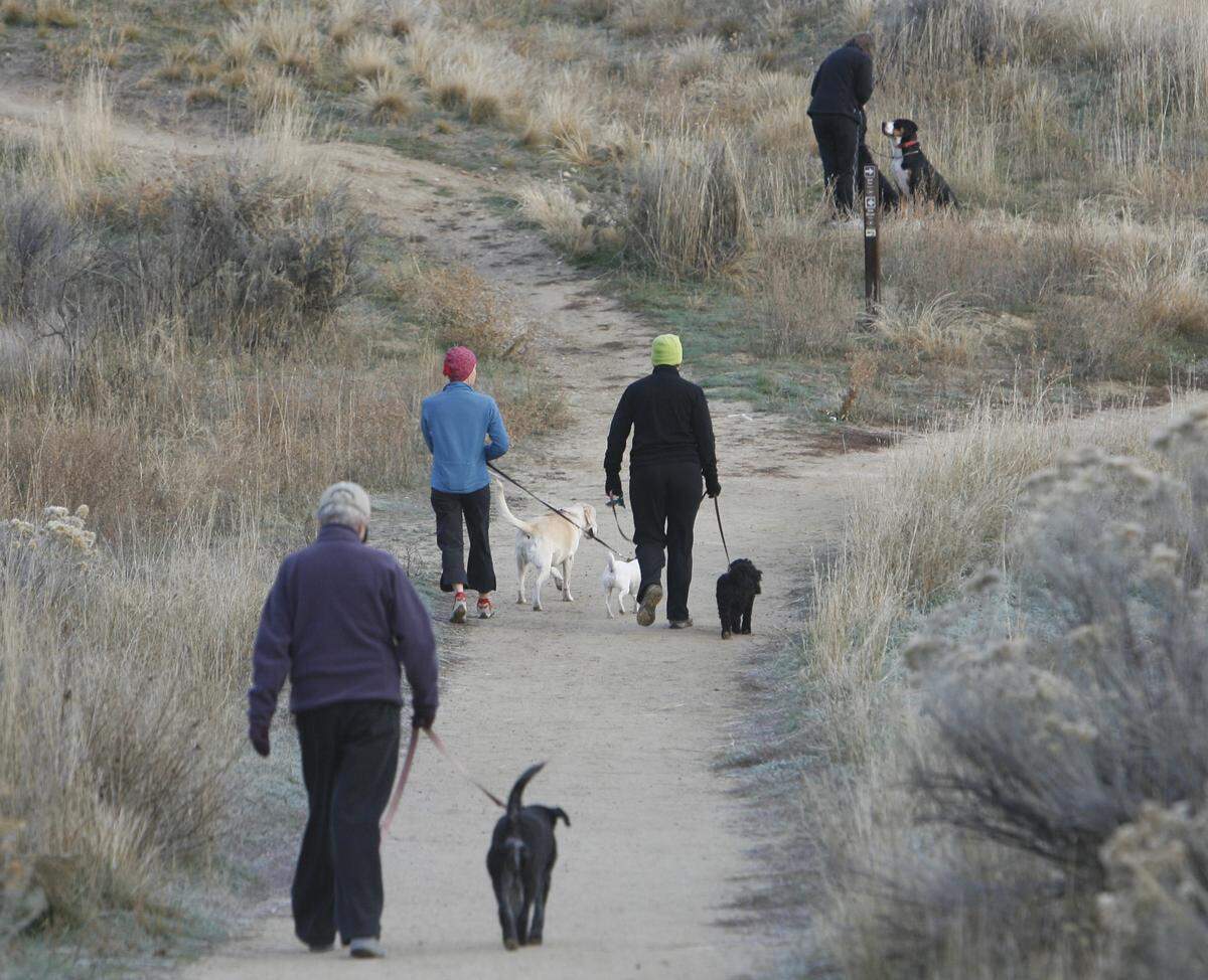 People walk their dogs on an off-leash trail in Hulls Gulch in the Boise Foothills.