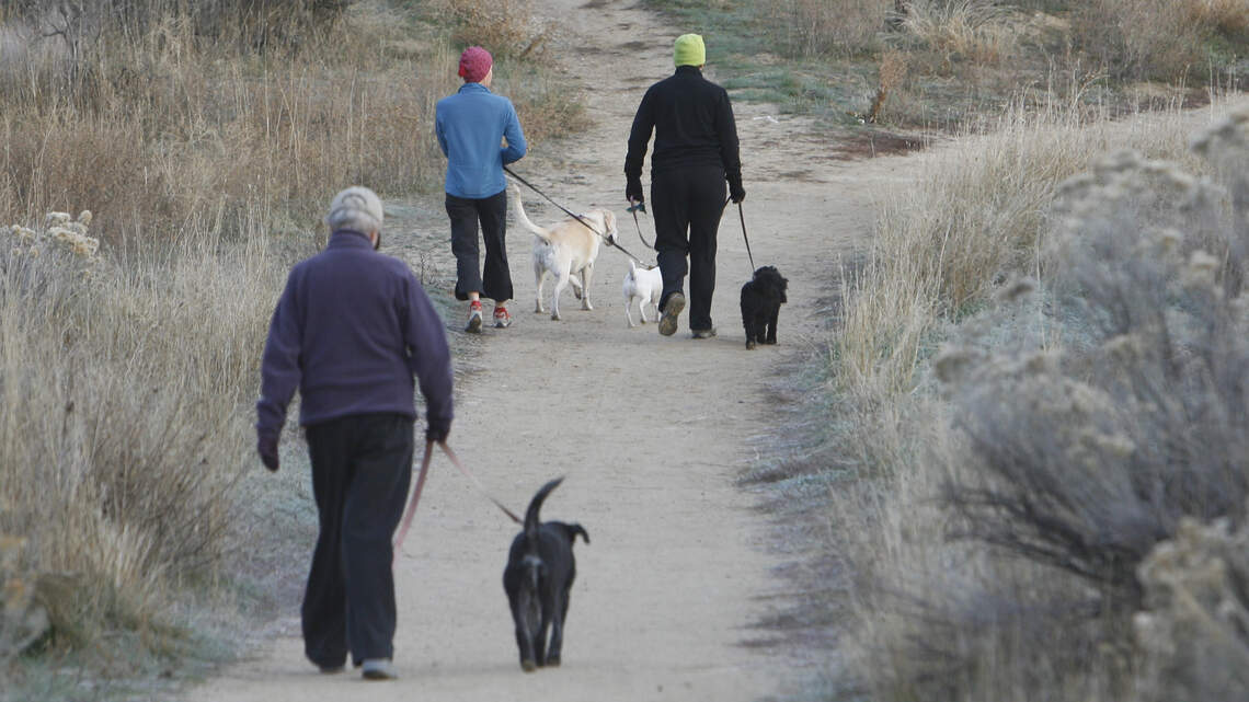 Some Boise trails may soon get one-way travel rules, alternating days for bikers, hikers