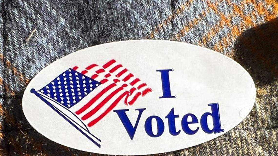 Boise-area voters: See who’s running in November 2024 election in Ada and Canyon counties