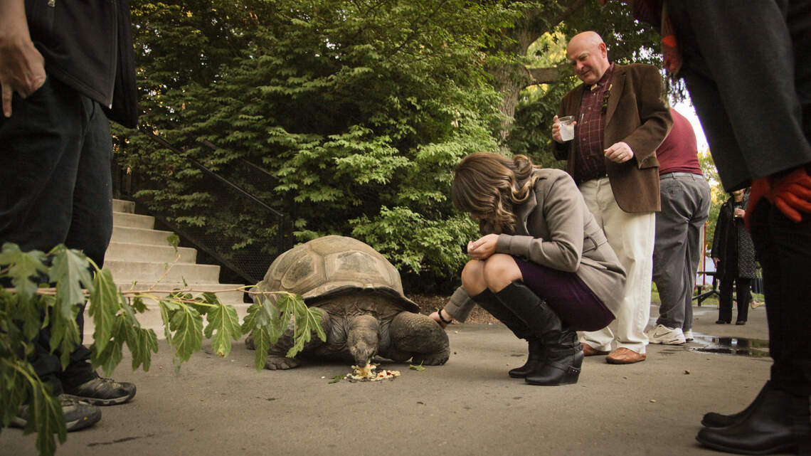 Zoobilee fundraiser goes virtual this year. Help Zoo Boise and avoid the coronavirus