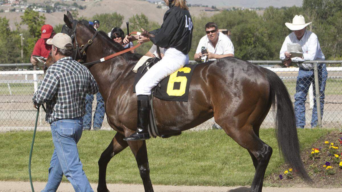 jockey, les bois, horseracing, horse race, women