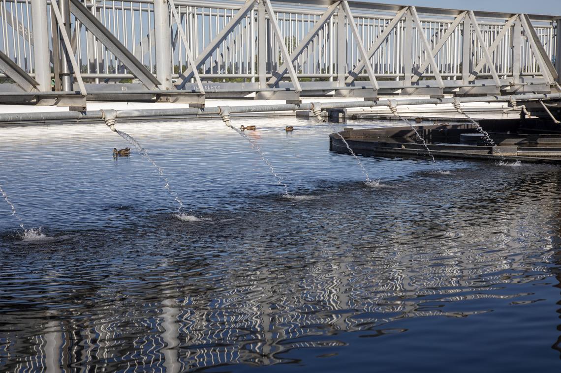 The secondary clarifier has water clean enough to attract ducks, who feed on the algae. There are only a few more stops after this before Boise’s wastewater becomes completely renewed water at the West Boise Water Renewal Facility.