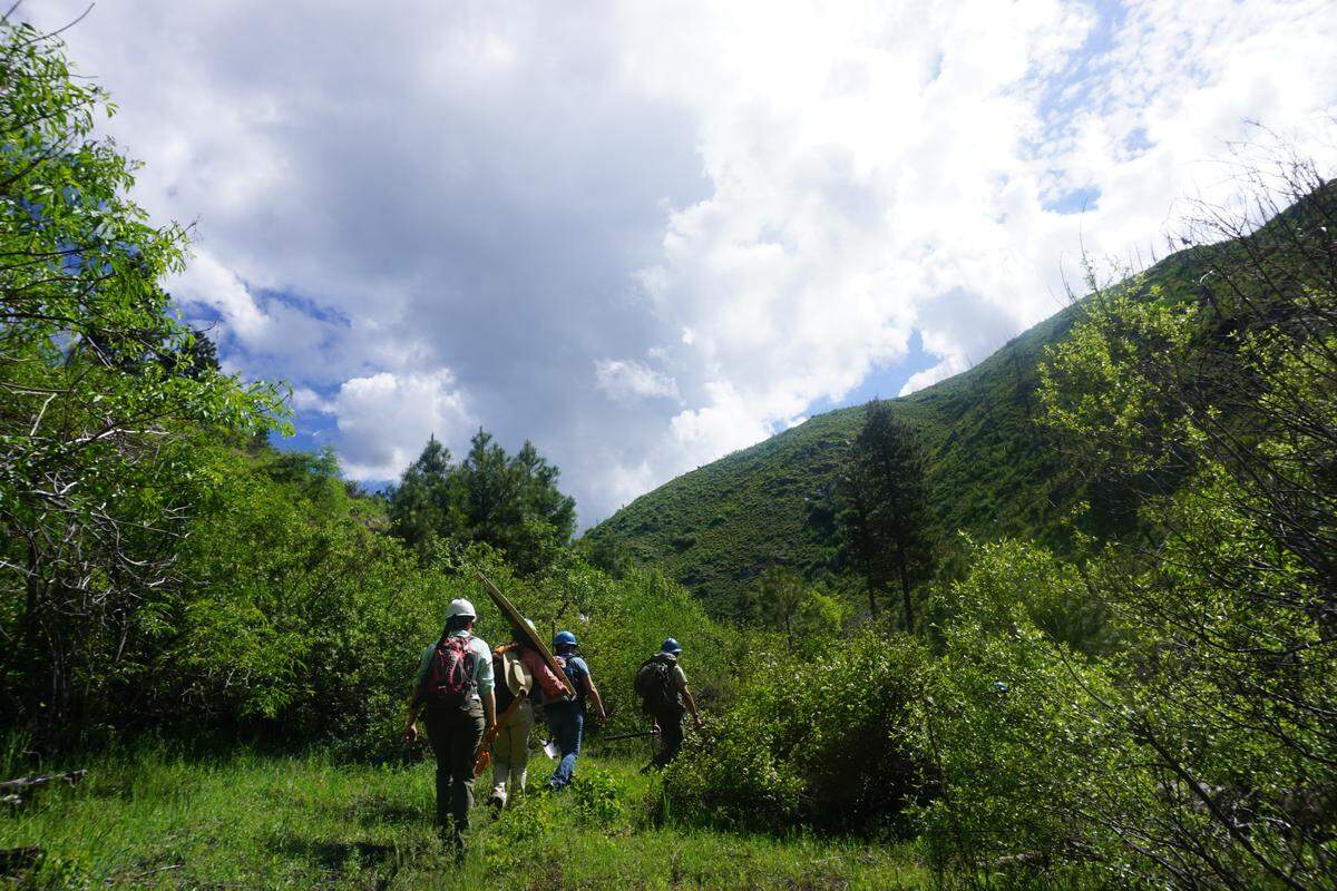 A group of women carrying trail maintenance tools hike along the Cottonwood Trail in the Boise National Forest on June 1, 2019. The women were learning maintenance skills as part of the Idaho Trails Association’s Women-Only Weekend project.