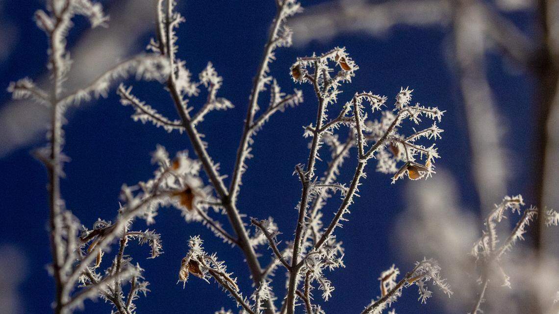 ‘Sub-freezing temperatures’ forecast in Treasure Valley. How to protect your home