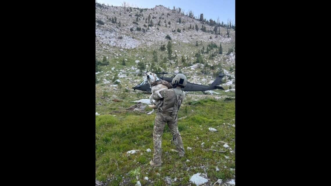 Injured hiker, dog were stranded in Idaho backcountry. Then rescuers stepped up