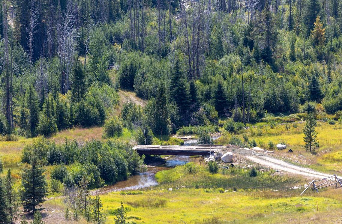 Salmon have been blocked from accessing miles of habitat by the historic mining at Stibnite for decades, and the Nez Perce Tribe annually delivers salmon near at bridge at the site. Perpetua Resources says it will restore the mountain valley and stream once mining of the Stibnite Gold Project is completed.