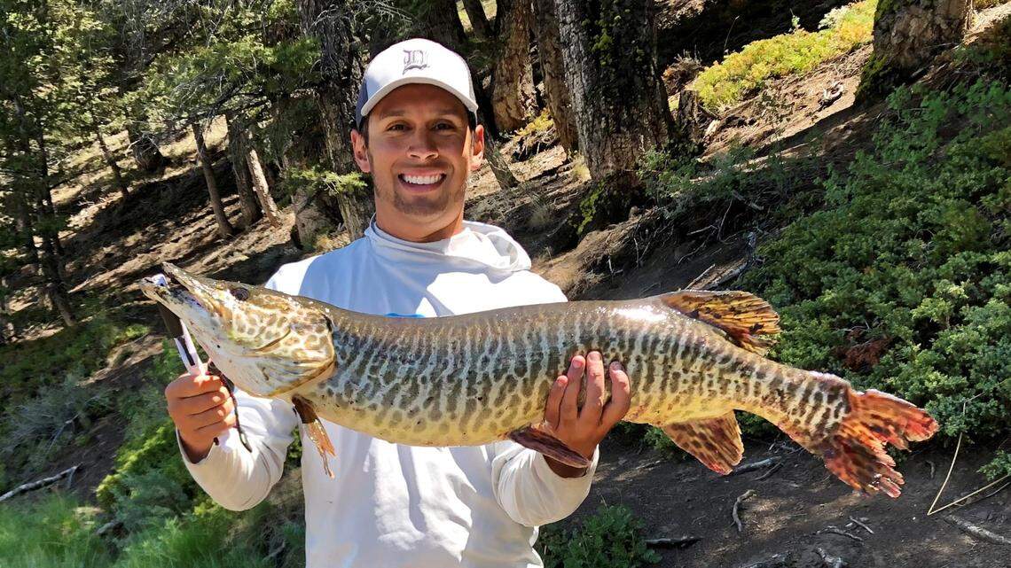  It took hundreds of casts and a trek into the Idaho backcountry, but fishing columnist Jordan Rodriguez finally checked a tiger muskie off his bucket list with this 38-inch catch.