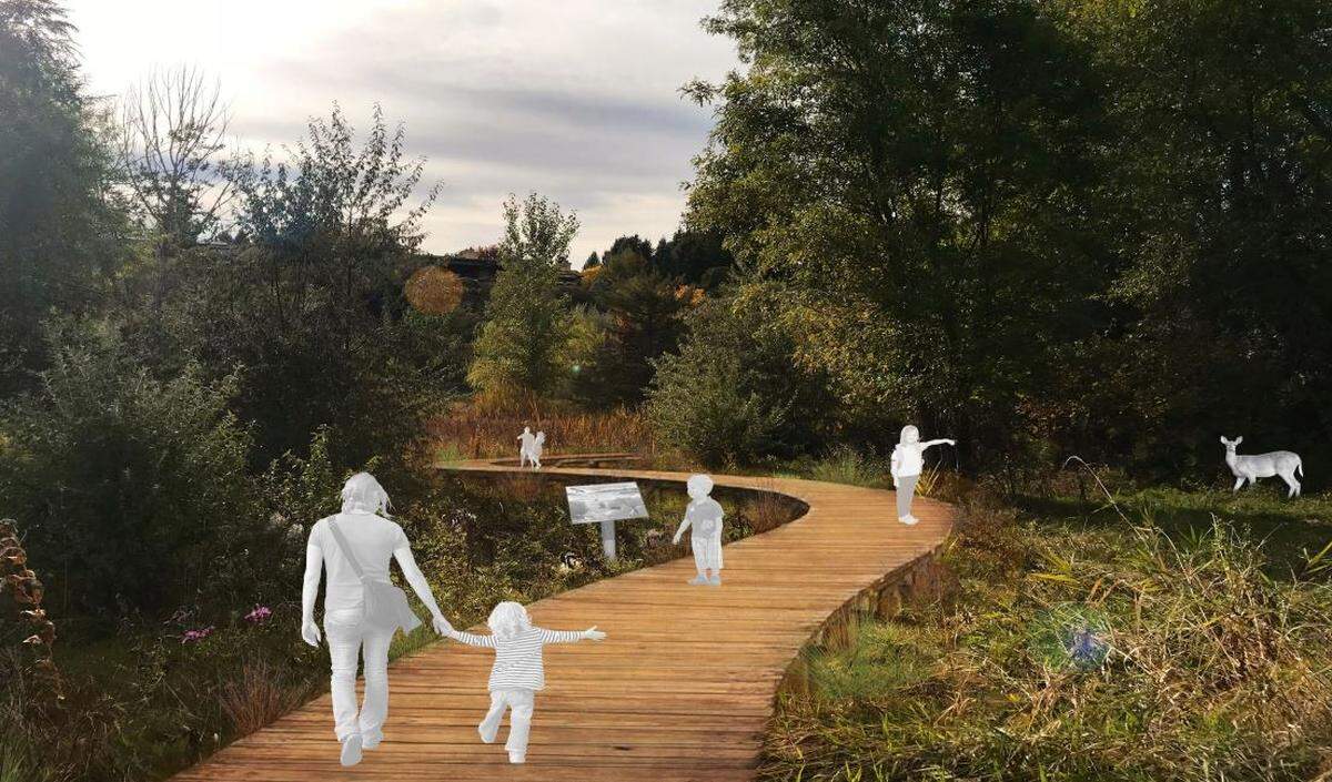 An artist's rendering of a boardwalk that will lead visitors through Kathryn Albertson Park. Other upgrades to the park off Americana Boulevard include converting some grassy areas into meadows with several varieties of annual and perennial flowers.