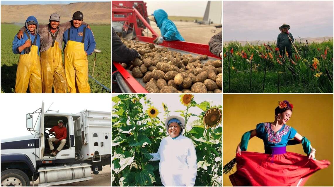 Mujeres crean proyecto bilingüe que honra trabajadores agrícolas de Idaho
