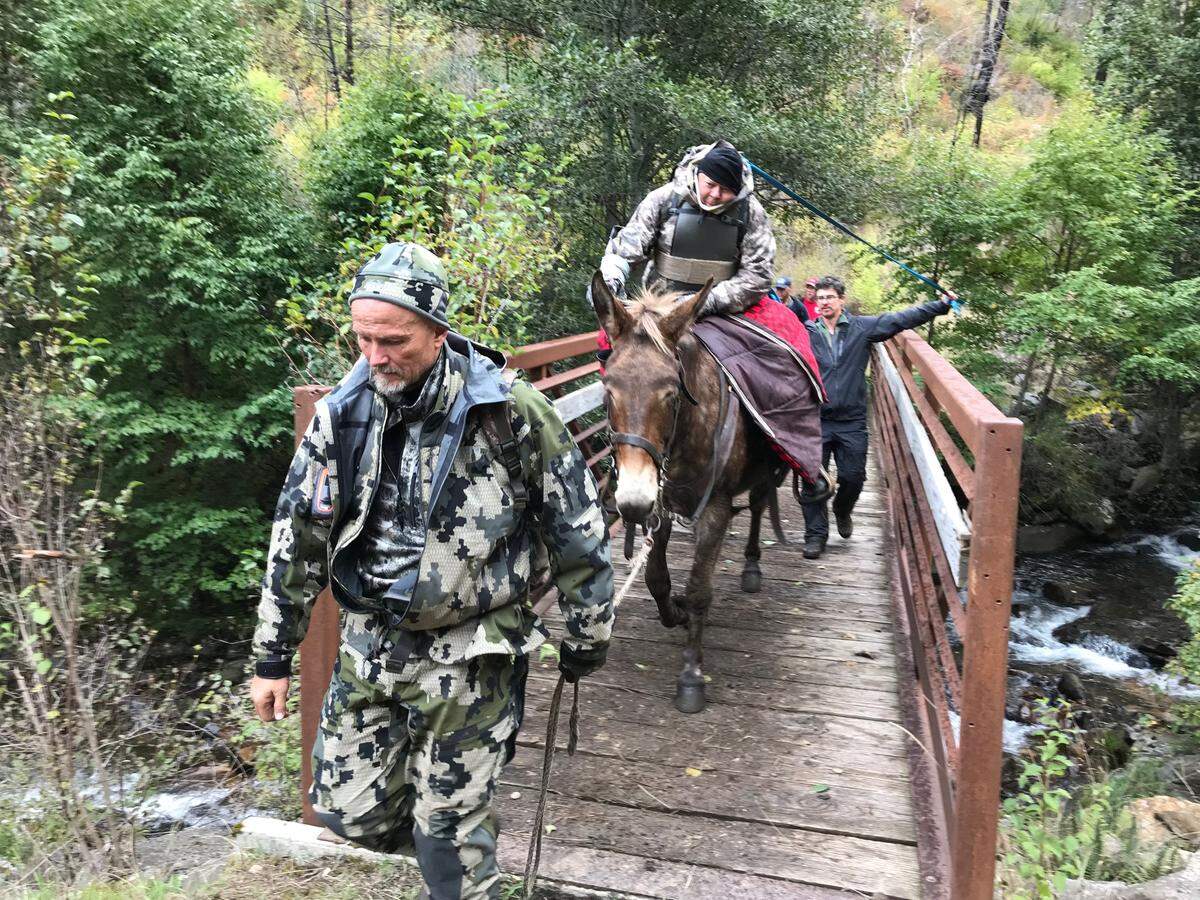Darwin Vander Esch leads his mule Brandy, carrying injured hunter Jeff Harrison, as a team of first responders rescue Harrison from the backcountry on Sept. 29. They were aided by first responders, including doctor Danny Griffis, in black, and several other first responder agencies.