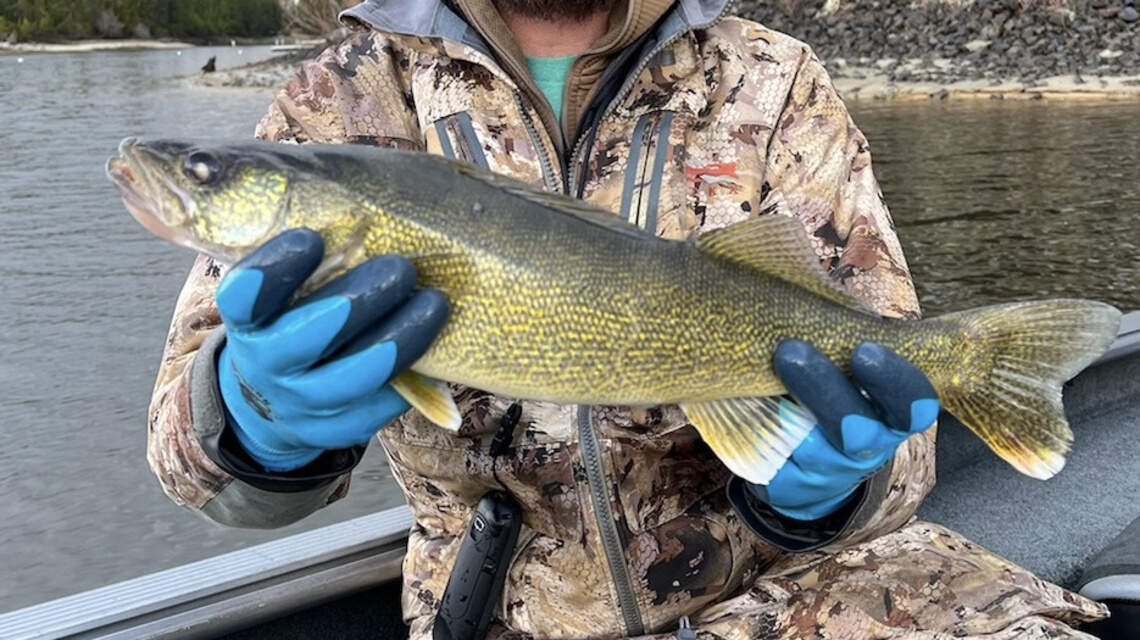 5 years ago, unusual catch led to concern for Idaho lake. Officials just reeled in another
