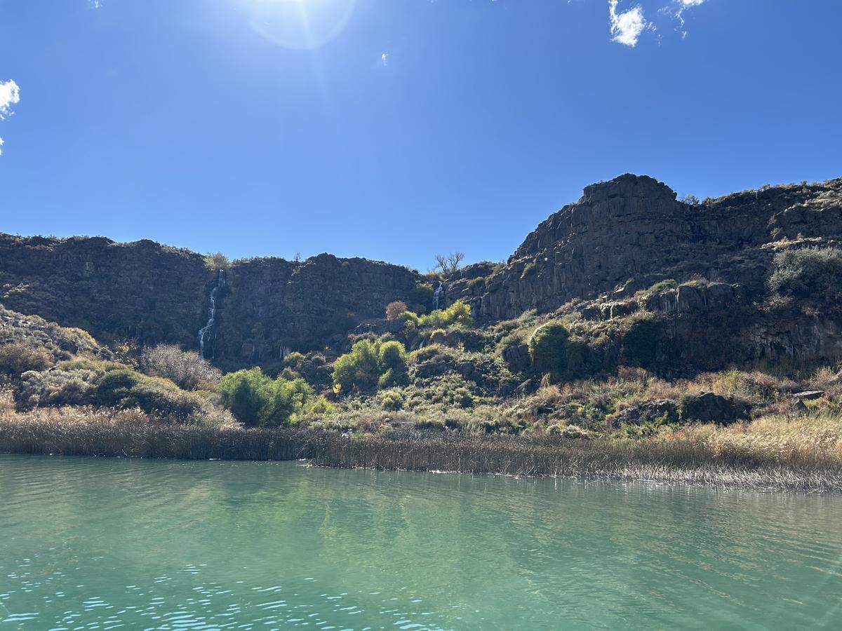 Springs and irrigation runoff flowing into the Snake River on Oct. 10, 2025. These inflows of fresh water, as well as the marshy shoreline below, pose challenges to efforts to eradicate invasive quagga mussels, officials said.