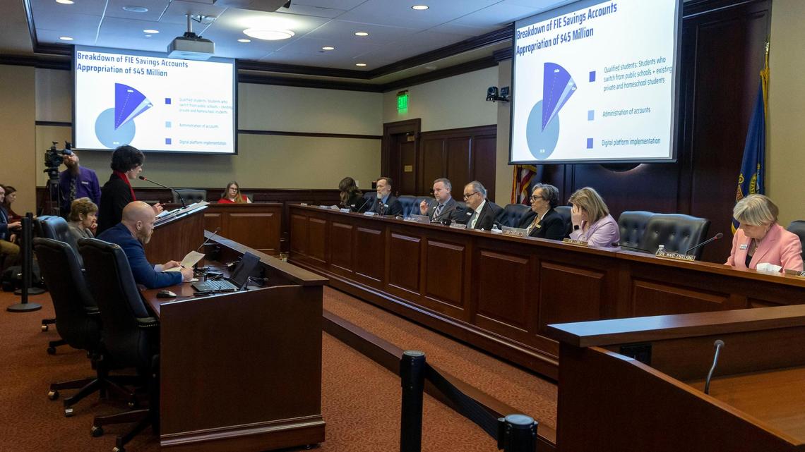 Sen. Tammy Nichols, R-Middleton, presents a bill in the Senate Education Committee that would a voucher program.