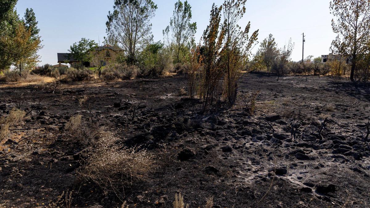 Firefighters prevented serious damage to homes from the Plex Fire near Idaho 21 on the canyon rim above the Boise River.