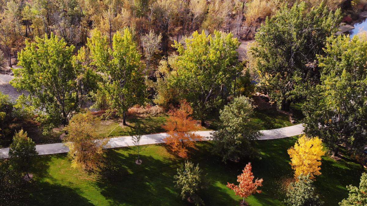 Some trees show fall colors along the Greenbelt at Kristin Armstrong Municipal Park in this 2022 file photo.