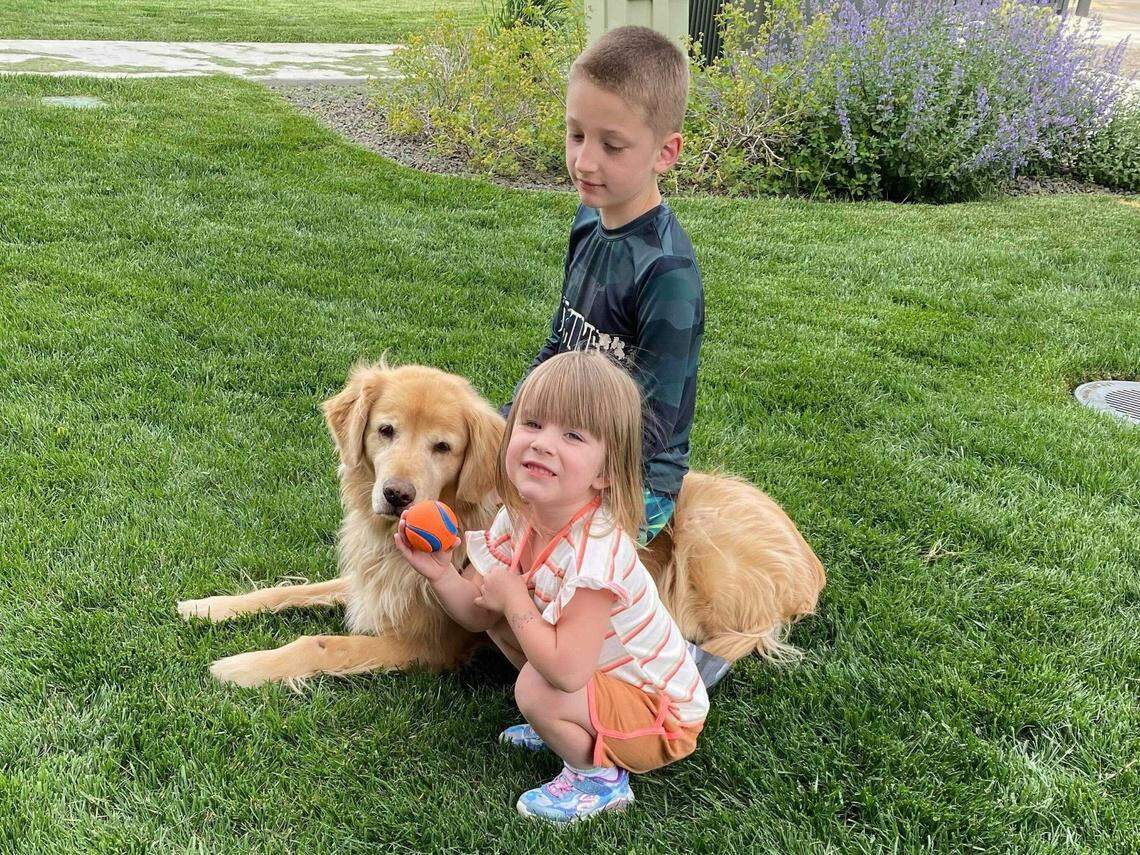 Barbara Anderson’s golden retriever, Bella, with two of her grandchildren. Anderson has to re-home her dog, after being unable to find a pet-friendly rental in her price range.