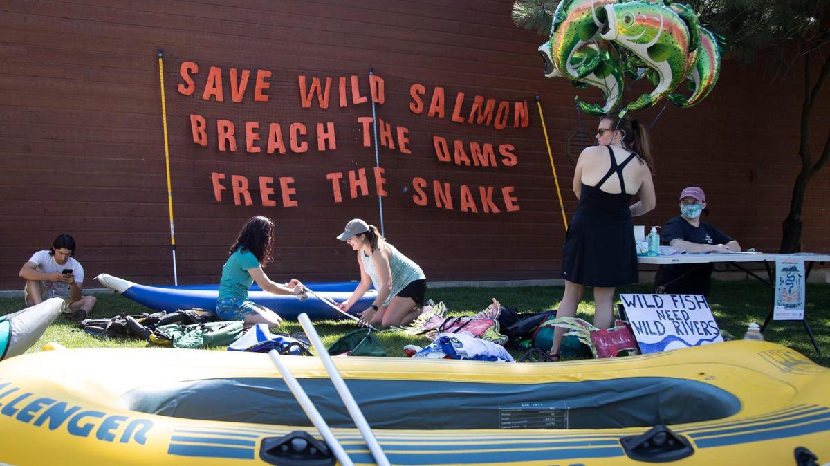 People sitting on the ground write. A raft on grass is in front of them. Behind them is a sign that says "Save Wild Salmon, Breach the Dams, Free the Snake"