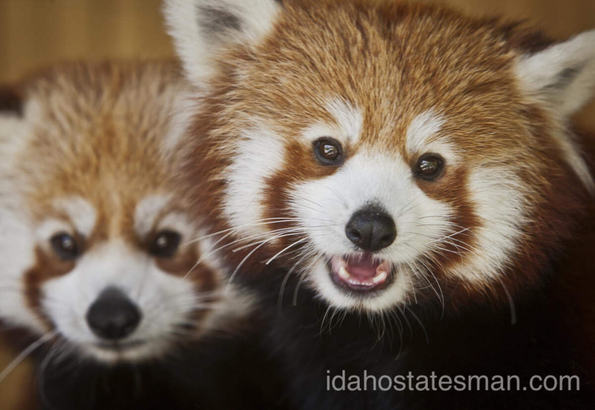 0510 local zoo01