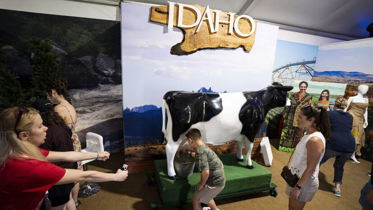 WASHINGTON, DC - JUNE 25: A young visitor learns how to milk a cow at the Idaho exhibit on the first day of the "Great American State Fair" on the National Mall on June 25, 2026 in Washington, DC. The Freedom 250-backed Great American State Fair celebrating the 250th anniversary of the United States runs through July 10th. (Photo by Al Drago/Getty Images)