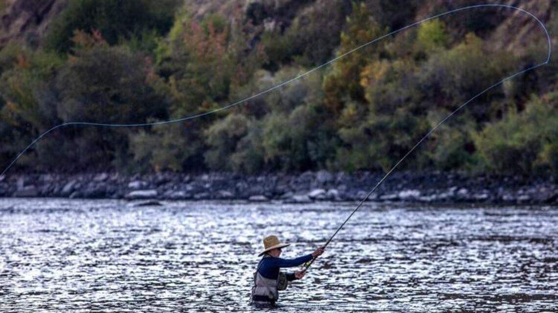 Idaho’s steelhead forecast is cause for concern, with experts expecting low fish returns