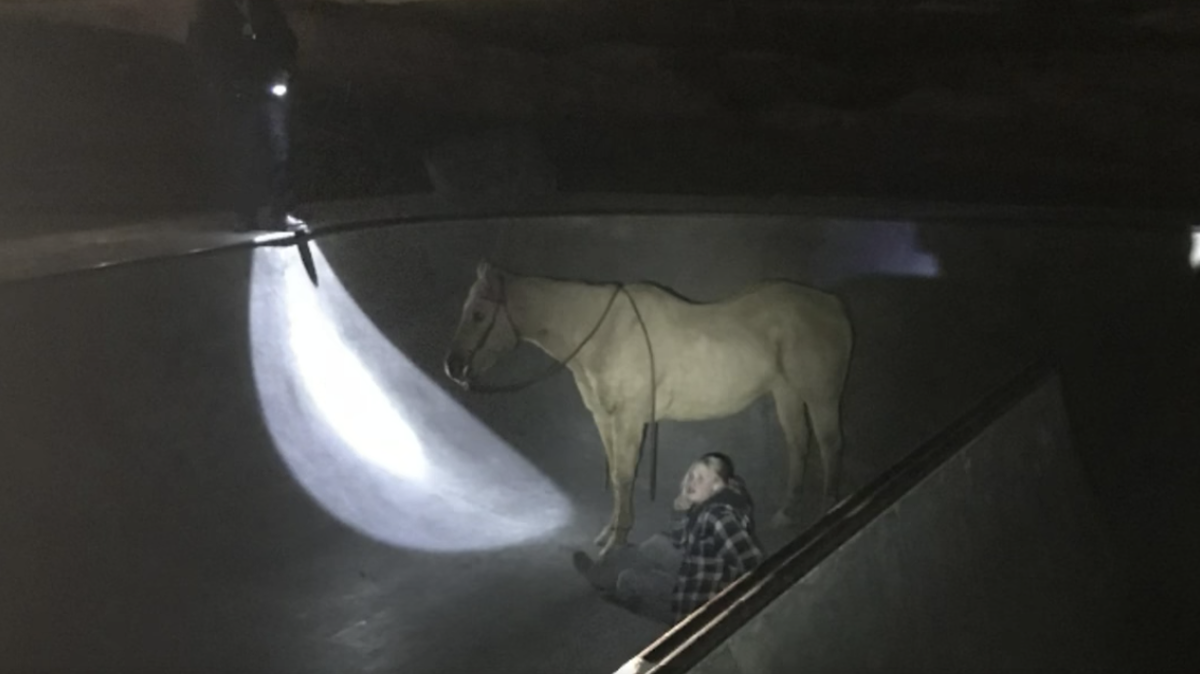Rescuers helped this horse escape the concrete bowl at the Kuna skate park on Friday.