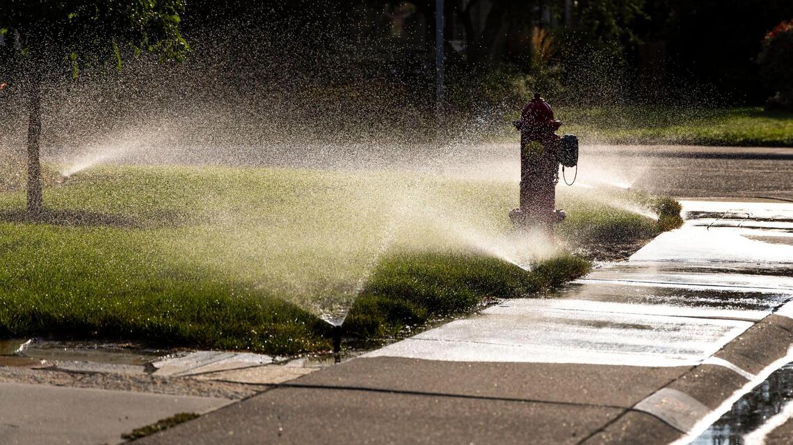 We must stop wasting precious water in western Idaho | Opinion