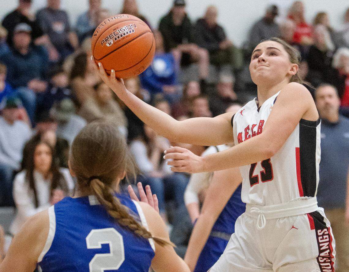 Melba senior Brooklyn Dayley was voted the 2A All-Idaho Player of the Year by the state’s coaches.