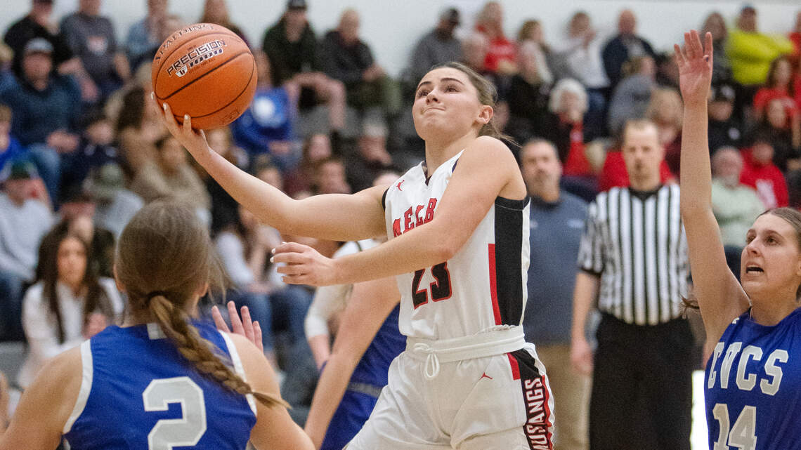 2A All-Idaho girls basketball team | 2023-2024