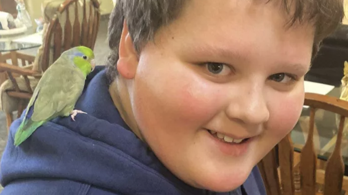 Drayko Gaudlip was riding a scooter at the intersection of Locust Grove Road, East Chateau Drive when he was struck by a car. He died Tuesday.