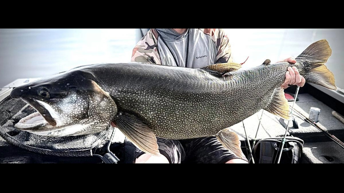 Dylan Smith, of Idaho Falls, holds a 43.25-inch lake trout he caught on Payette Lake on May 2, 2026. The fish broke the state catch-and-release record for lake trout — a record Smith has held before.