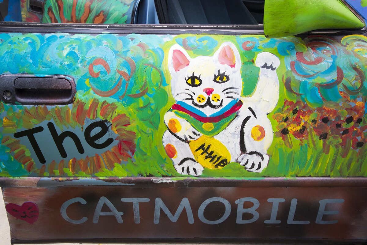 Painted and decorated with cats, Millie Reddig’s “Catmobile” has become a traveling symbol of animal advocacy. To help pay for costs to manage feral cat colonies and rescues, Millie paints portraits of dogs and horses as well.