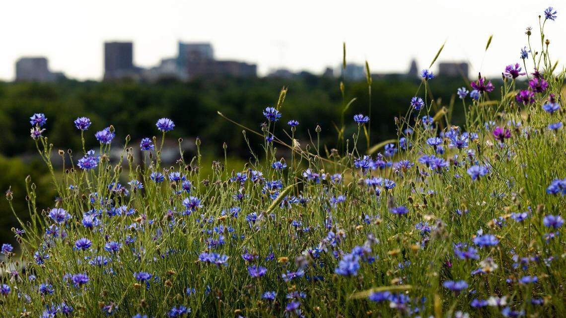 When’s the first day of spring in Boise? What to know as we switch to new season