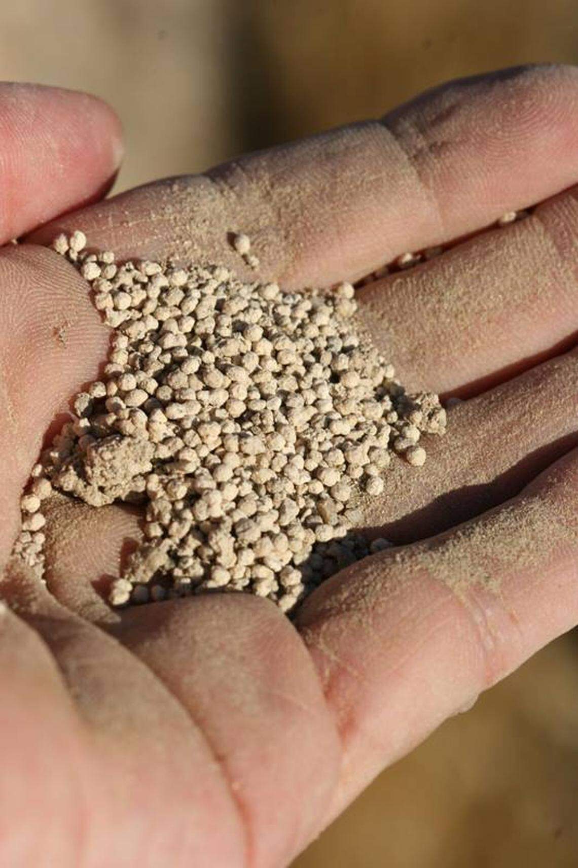 “The tiny round pieces of limestone found on the Flat are called ooids, known as oolite (“egg stone”) when deposited in larger formations,” the BLM said on Facebook in March of 2017.