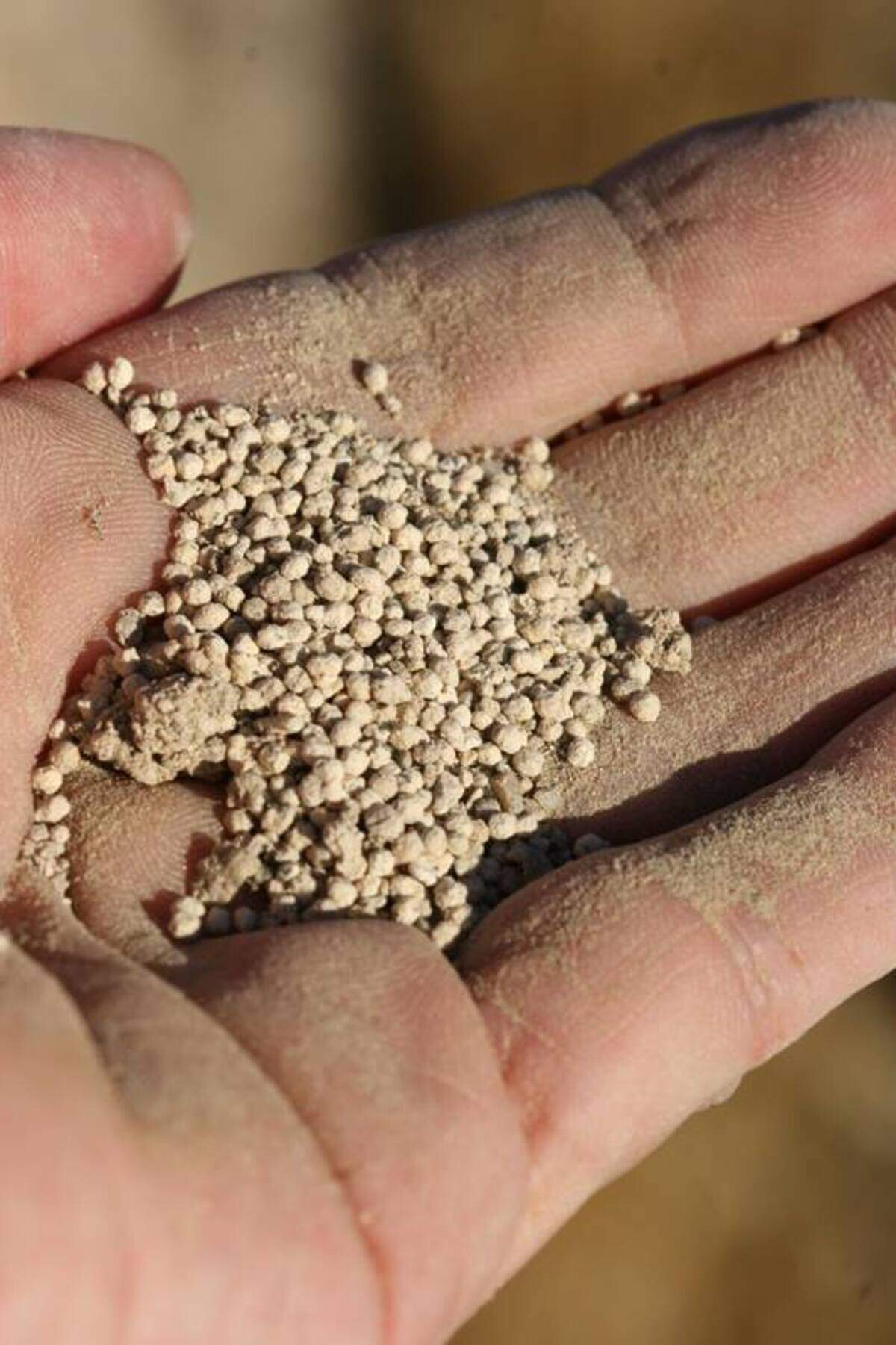 “The tiny round pieces of limestone found on the Flat are called ooids, known as oolite (“egg stone”) when deposited in larger formations,” the BLM said on Facebook in March of 2017.