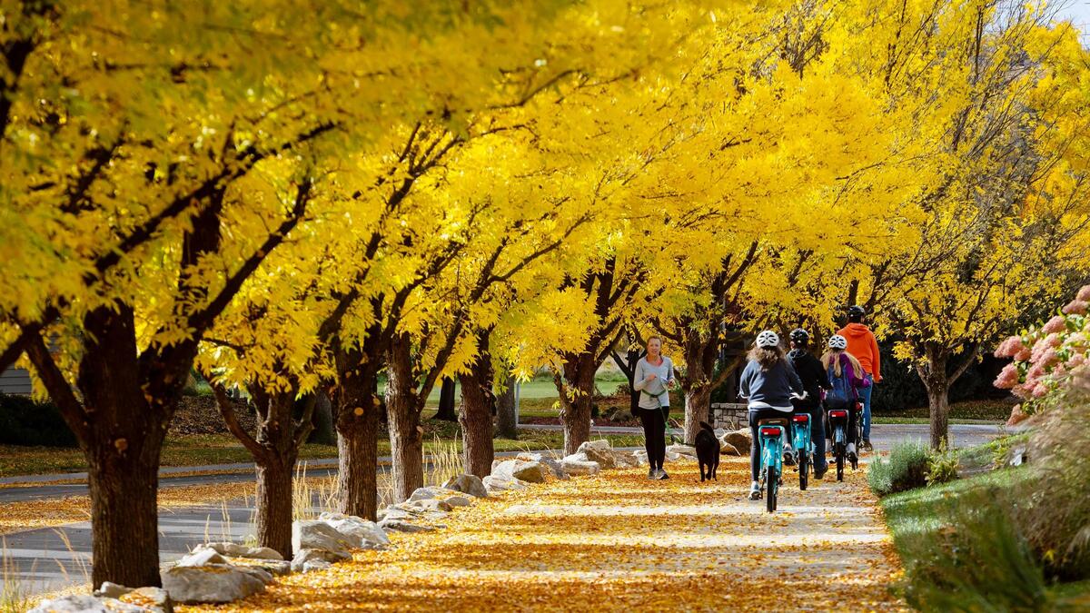 Bright yellow autumn leaves flank the sidewalk along Eckert Road in Boise on Saturday, Oct. 22, 2022.