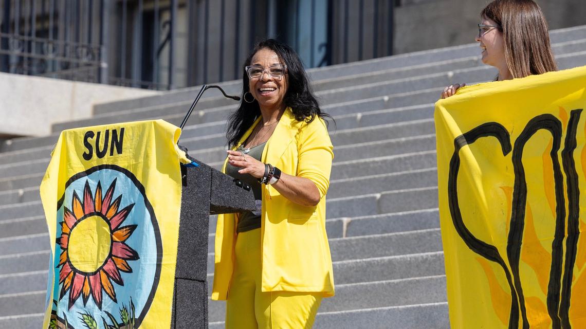 Shari Baber, a Democratic candidate for the Idaho Legislature, said information about the tax incentives tied to household clean energy improvements should be more widely available.