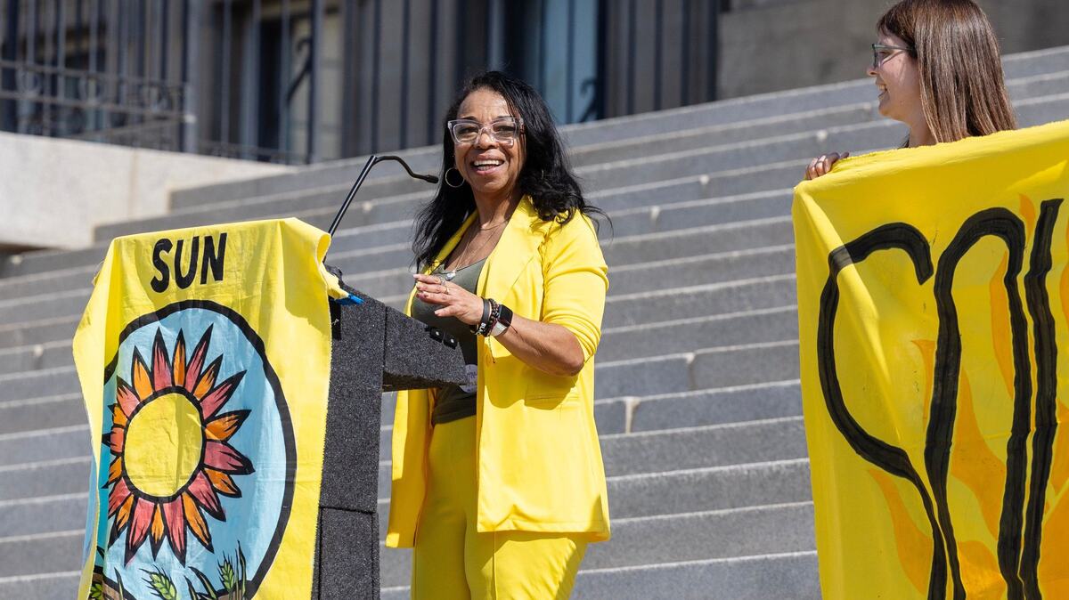 Shari Baber, a Democratic candidate for the Idaho Legislature, said information about the tax incentives tied to household clean energy improvements should be more widely available.