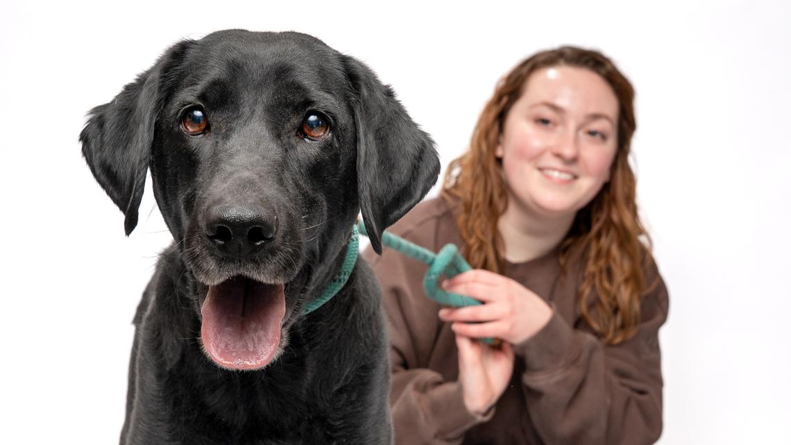 A deal to house strays in Canyon County just fell through. What of the animals?