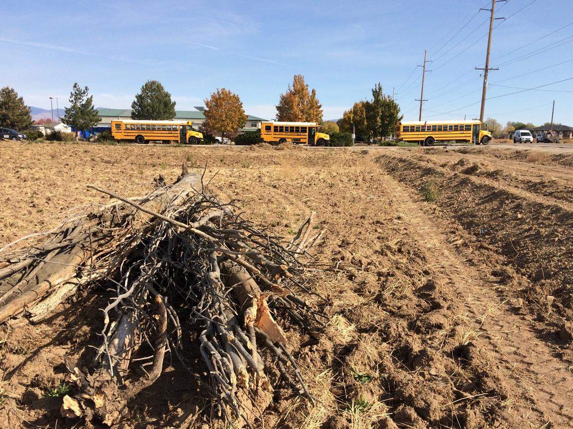 Workers excavating and grading the site of Amazon’s third Treasure Valley delivery station piled brush near the southwest corner of the site. Franklin Road is at right. The school buses are leaving the Cascade Student Transportation bus-storage site on the Amazon site’s eastern border.