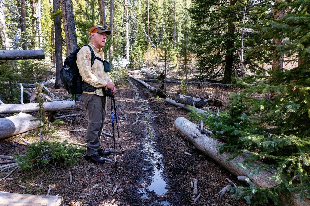 Ed Cannady, a retired U.S. Forest Service manager for the Sawtooth National Recreation Area, hikes Little Boulder Creek Trail 628 to Castle Peak in the White Cloud Mountains of the SNRA on May 25, 2022. Cannady is an advocate for wilderness areas.