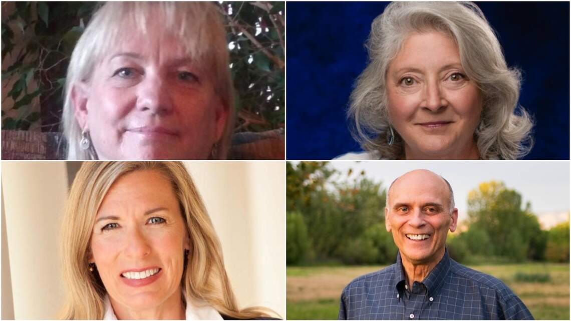 Democrat and independent challenge incumbents in District 14. Here are Statesman’s picks