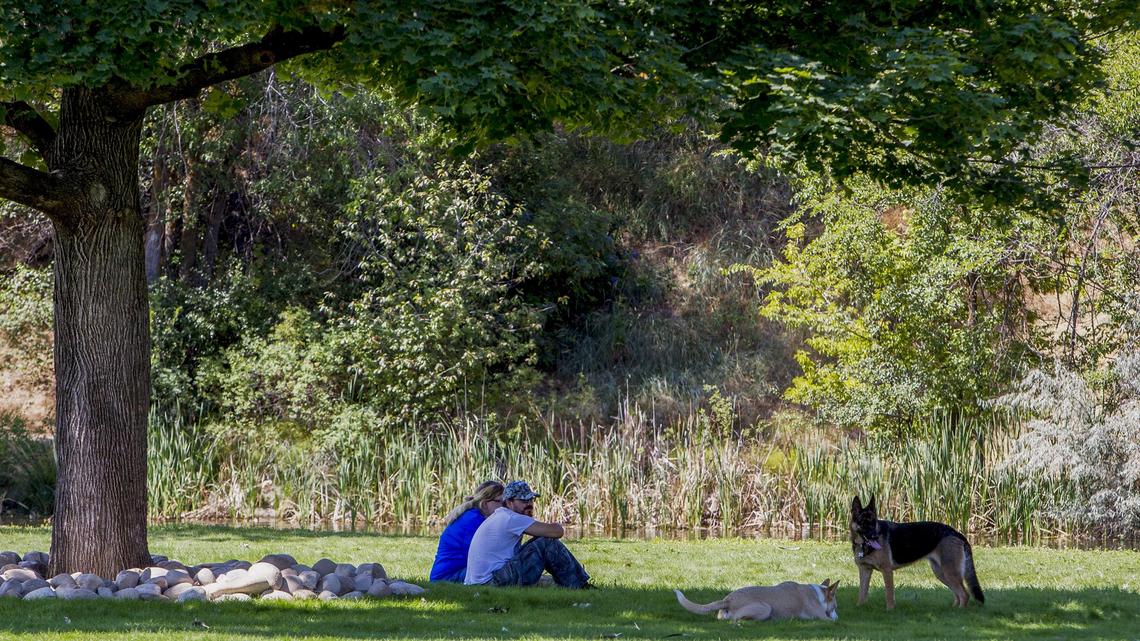 Dogs and handlers alike have plenty of options for shade at the new Dog Island dog park in Boise.