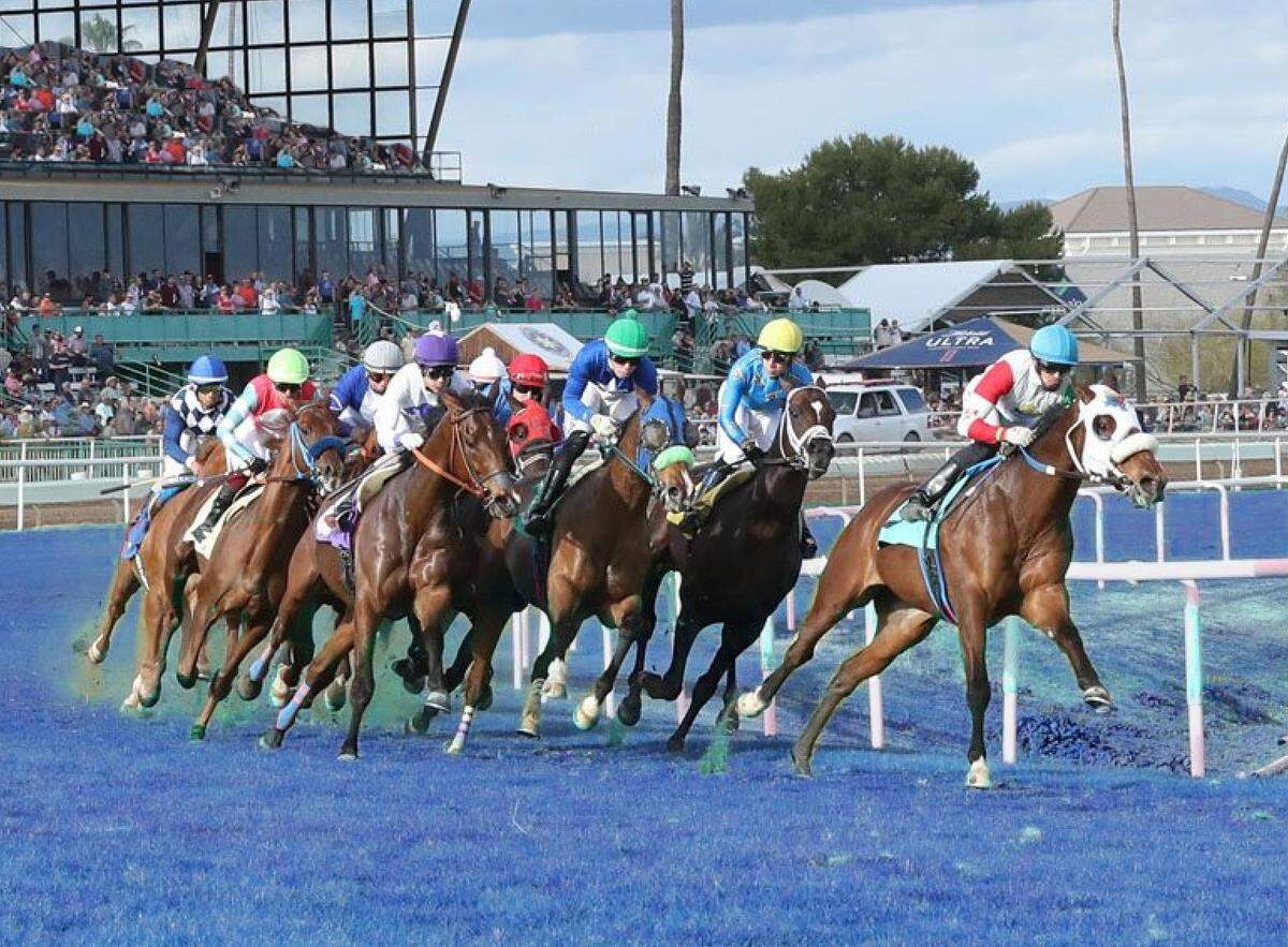 The National Thoroughbred League will paint the home stretch at Turf Paradise blue to honor Boise State ahead of the Fiesta Bowl in Arizona.