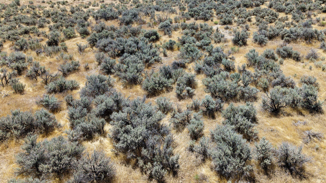 Don’t turn Idaho’s public lands into a subsidy for the AI industry | Opinion