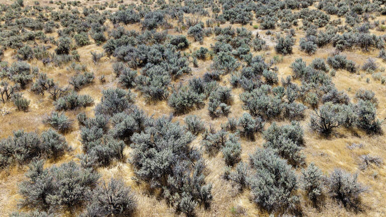 Don’t turn Idaho’s public lands into a subsidy for the AI industry | Opinion