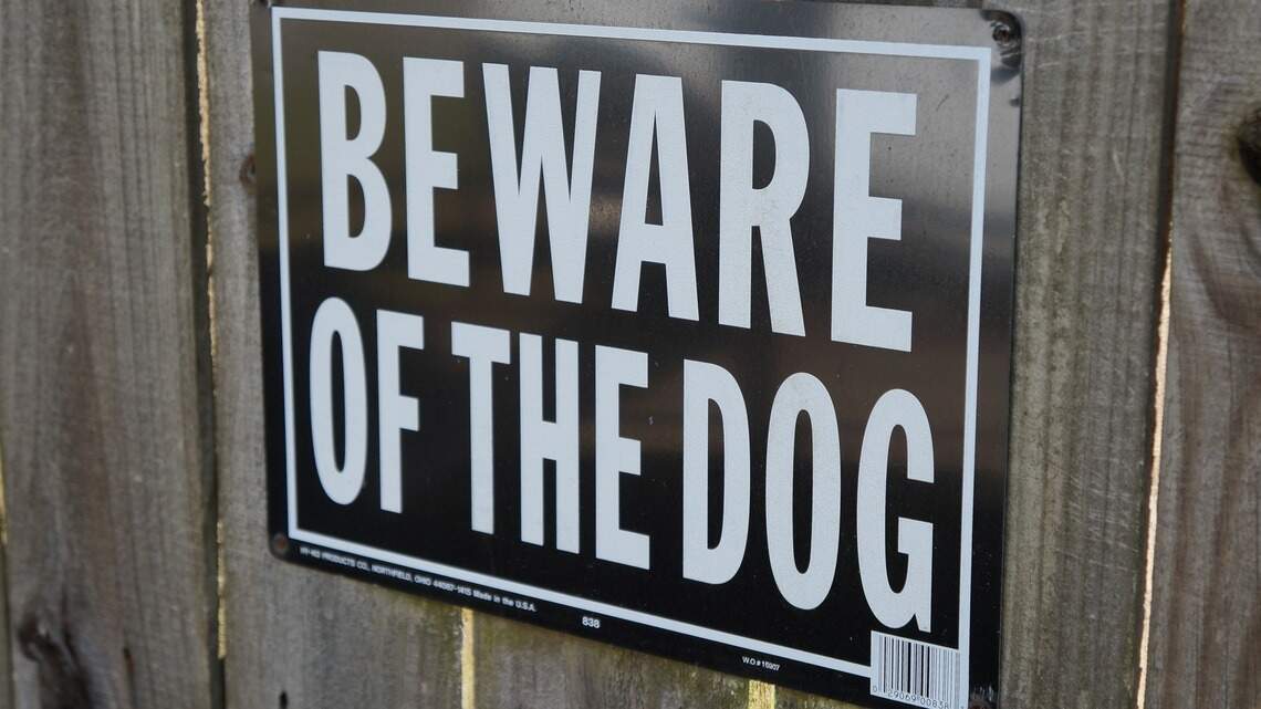 Terrifying pit bull attack proof why Kennewick, others must reassess dangerous dogs | Opinion